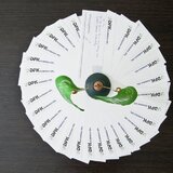 Accordserve Conta - Firma de contabilitate si consultanta financiara